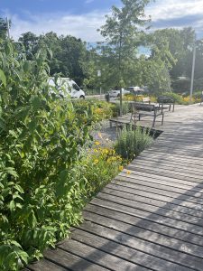 Park Schütte Lihotzky Weg